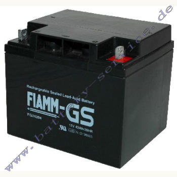 Fiamm FG24204 wartungsfreier Bleiakku 12V 42AH AGM